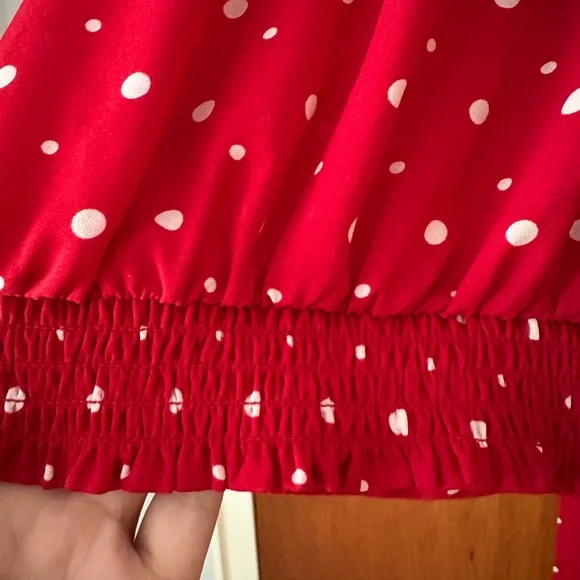 The Limited Scarlet Sheer Blouse with Ivory Polka Dots and Front Tie - Picture 8 of 8